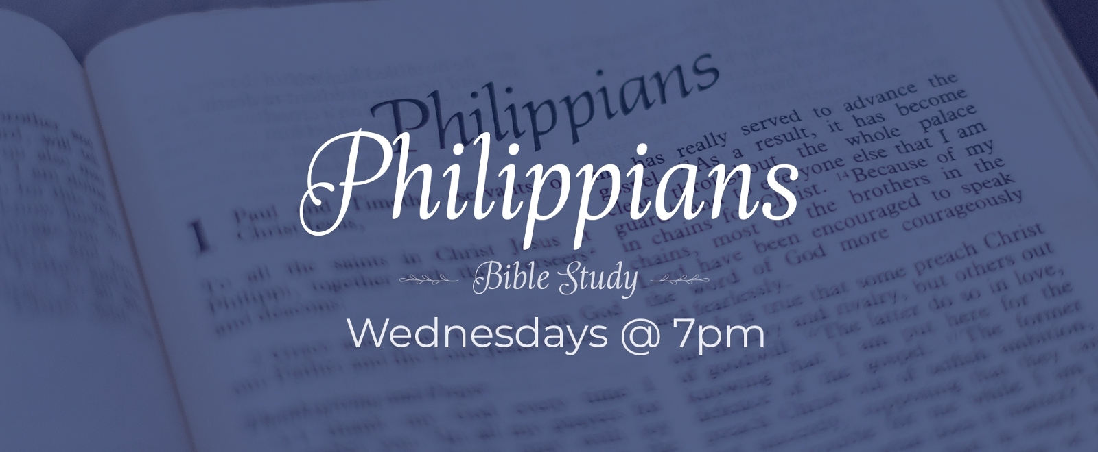 Philippians Bible study