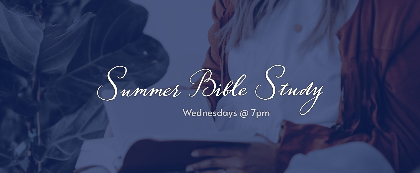 Summer Bible Study